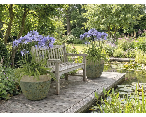 Scène de jardin avec banc, bassin et plantes en pot