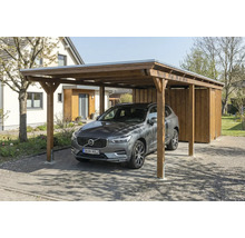 Auto unter Holzcarport mit Geräteraum