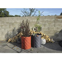 Deux sacs à plantes Steko avec des plantes devant un mur et une pile de bois