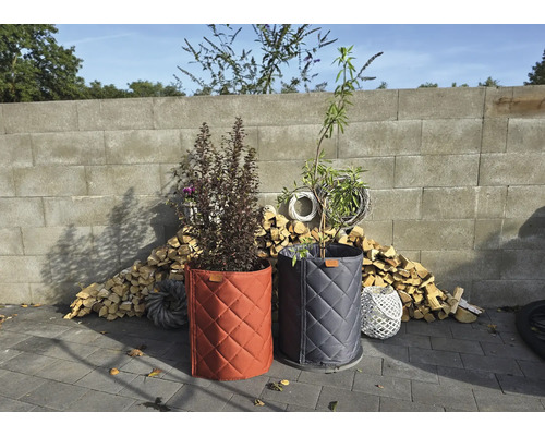Deux sacs à plantes Steko avec des plantes devant un mur et une pile de bois