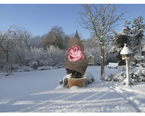 Paysage hivernal avec plante en pot et housse de protection hivernale avec motif de rose