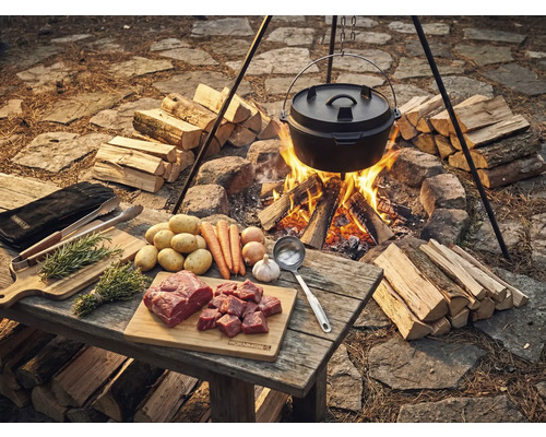 Szene mit Dutch Oven über offenem Feuer, umgeben von Brennholz, mit Zutaten wie Fleisch, Kartoffeln und Gemüse auf einem Holztisch