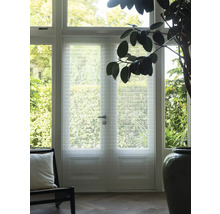 Intérieur avec porte à structure en verre, fauteuil et plante d'intérieur