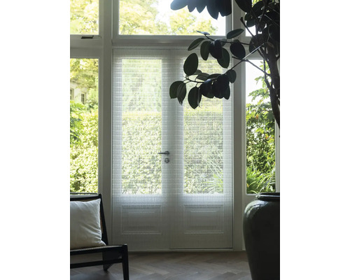 Intérieur avec porte à structure en verre, fauteuil et plante d'intérieur