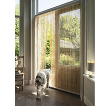 Raumansicht mit Perlenvorhang und Hund