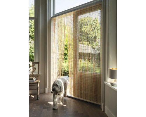 Raumansicht mit Perlenvorhang und Hund