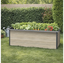 Hochbeet aus Holz mit verschiedenen Gemüsesorten im Garten.