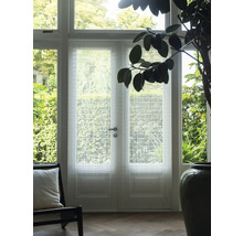 Porte double avec film décoratif et lumière du jour dans une pièce à vivre.