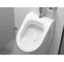 Weißes Urinal mit Spülvorrichtung und Siebeinsatz