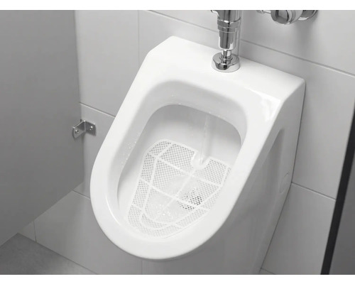 Weißes Urinal mit Spülvorrichtung und Siebeinsatz