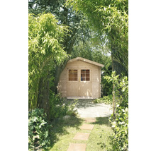 Abri de jardin en bois avec toit à deux pans et double porte vitrée, situé dans un jardin verdoyant entouré d'arbres et de bambous.
