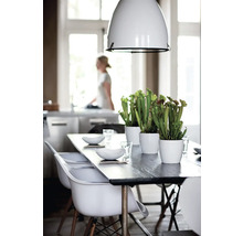 Esstisch mit Stühlen, Geschirr, Pflanzen in Töpfen und Pendelleuchte