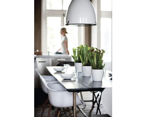 Esstisch mit Stühlen, Geschirr, Pflanzen in Töpfen und Pendelleuchte