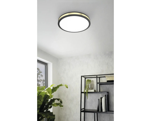 Runde Deckenleuchte im Wohnraum mit Regal und Zimmerpflanze