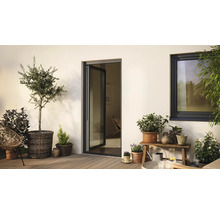 Terrasse avec porte-fenêtre, fenêtre et plantes