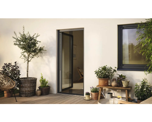 Terrasse avec porte-fenêtre, fenêtre et plantes