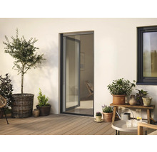 Terrasse avec plantes, porte de terrasse et fenêtre pour l'extérieur