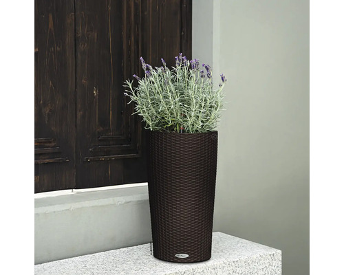 Hoher Pflanzkübel mit Lavendel vor einer Tür