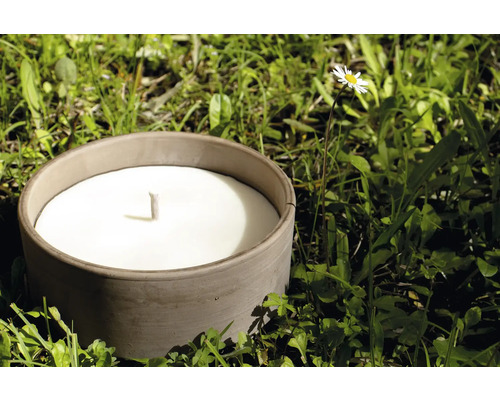 Dekorative Kerze in einem Gefäß auf einer Wiese mit Gänseblümchen