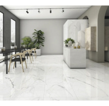 Pièce lumineuse avec sol en marbre, tables, chaises et plantes