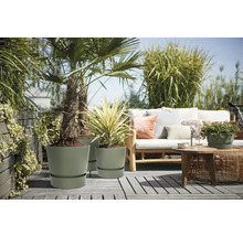 Terrasse moderne avec des pots de fleurs vert olive, un palmier et un canapé en bois avec des coussins sur un pont en bois gris.