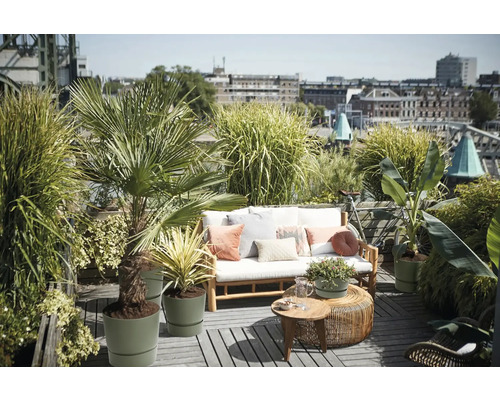 Terrasse de toit lumineuse avec canapé en bois, coussins, tables d'appoint et diverses plantes dans des pots verts sur un revêtement en bois.