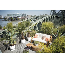 Dachterrasse mit Bambus-Sofa, Holztischen und Palmen in Kübeln vor einer städtischen Kulisse mit Brücke und Fluss.