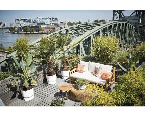 Dachterrasse mit Bambus-Sofa, Holztischen und Palmen in Kübeln vor einer städtischen Kulisse mit Brücke und Fluss.