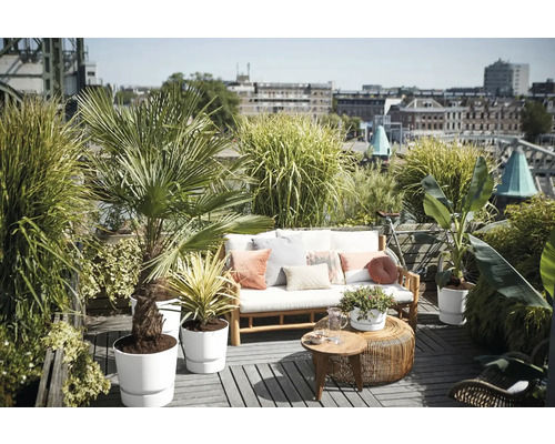 Terrasse sur le toit avec canapé en bois, coussins, diverses plantes en pot comme un palmier et un bananier, et vue sur la ville.