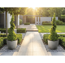 Jardin moderne et lumineux avec chemin en pierre, buis taillés en spirale dans des pots ronds, terrasse en bois et pelouse.