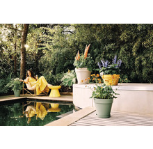 Femme en robe jaune sur une terrasse en bois au bord de la piscine, entourée de pots de fleurs et de plantes luxuriantes dans un jardin lumineux.
