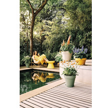 Helle Gartenszene mat Holzdeck, Pool a Gaardemiabelen. Faarweg Planzekëbel mat bléiende Planze stinn op der Terrass virun dichtem Gréngs.