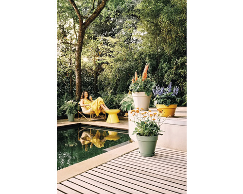 Helle Gartenszene mat Holzdeck, Pool a Gaardemiabelen. Faarweg Planzekëbel mat bléiende Planze stinn op der Terrass virun dichtem Gréngs.