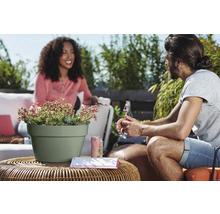 Deux personnes assises sur une terrasse autour d une table ronde en rotin avec un pot de fleurs vert clair contenant des succulentes.