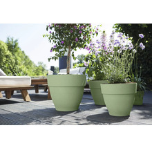 Pots de fleurs en plastique vert clair de différentes tailles avec des plantes à fleurs violettes sur une terrasse en bois ensoleillée.