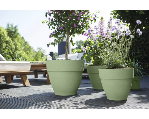 Pots de fleurs en plastique vert clair de différentes tailles avec des plantes à fleurs violettes sur une terrasse en bois ensoleillée.