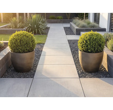 Allée de jardin moderne en dalles de pierre claire, bordée de deux grands bacs à fleurs striés contenant des buis taillés en boule.