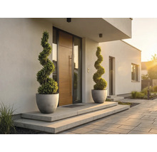 Entrée de maison moderne avec porte en bois, deux buis en spirale dans des bacs gris sur des marches en béton et une allée pavée.