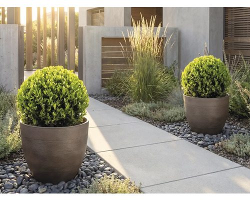 Moderner Garten mit runden Pflanzkübeln und Buchsbaumkugeln an einem Betonweg mit Flusssteinen und Ziergräsern in heller Atmosphäre.