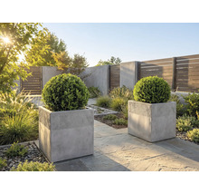 Jardin moderne avec deux jardinières carrées en béton gris contenant des boules de buis sur une terrasse en pierre sous la lumière du soleil.