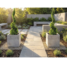 Jardin moderne et lumineux avec chemin en pierre, deux buis en spirale dans des jardinières carrées, bancs en béton et gravier.