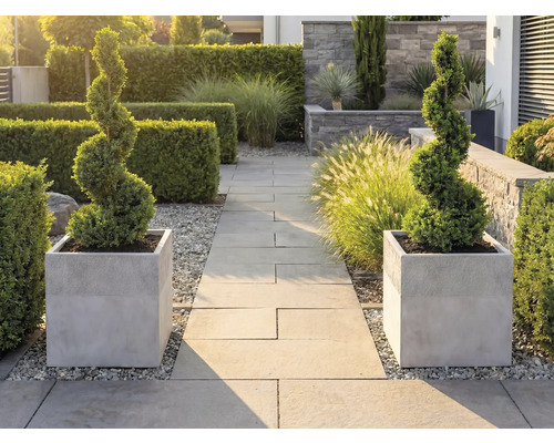 Zwei spiralförmig geschnittene Formgehölze in grauen quadratischen Pflanzkübeln an einem strukturierten Gartenweg aus Steinplatten mit Hecken.