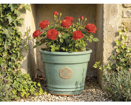 Hellgrüner Keramik-Blumentopf mit Blumen-Emblem, bepflanzt mit roten Rosen, vor einer Steinmauer mit Efeu.