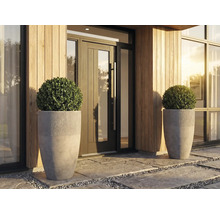 Entrée moderne avec deux grands pots de fleurs gris en aspect béton, garnis de boules de buis devant une façade en bois.