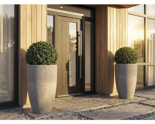 Entrée moderne avec deux grands pots de fleurs gris en aspect béton, garnis de boules de buis devant une façade en bois.
