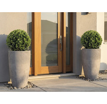 Deux hauts pots gris avec des boules de buis devant une porte d'entrée moderne en bois et en verre.