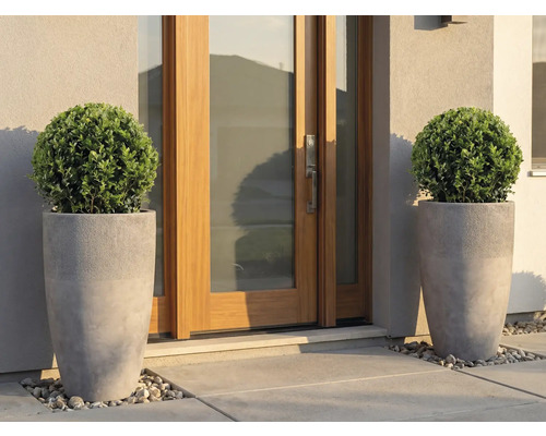 Deux hauts pots gris avec des boules de buis devant une porte d'entrée moderne en bois et en verre.