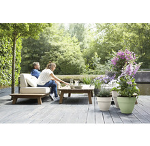 Helle Gartenterrasse mit Holzdeck, Lounge-Sofa mit Polstern, Holztisch und verschiedenen Topfpflanzen an einem Gewässer.
