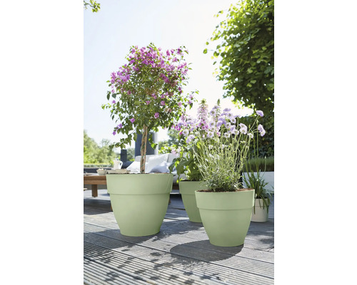 Pots de fleurs en plastique vert clair sur une terrasse en bois ensoleillée dans le jardin, garnis de plantes fleuries.