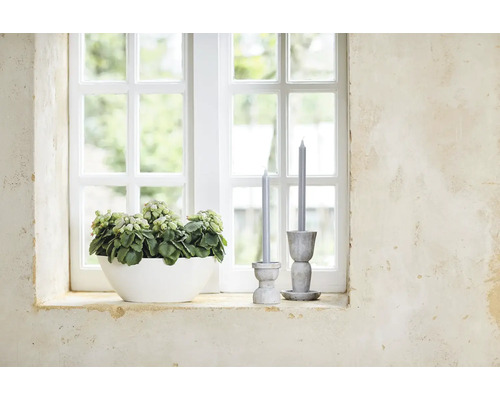 Helle Fensterbank mit grüner Zimmerpflanze in weißer Schale und zwei grauen Stabkerzen in rustikalen Kerzenständern vor einem Sprossenfenster.